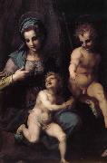 Andrea del Sarto The Virgin and Child with St. John childhood oil painting artist